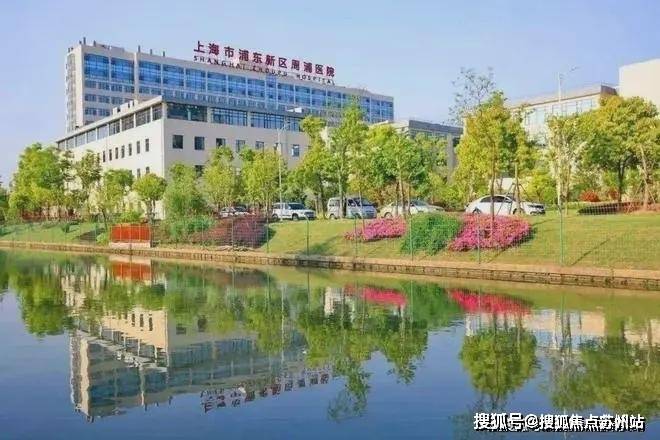 桥碧云澧悦售楼处丨欢迎您房价_房型-售楼处位置尊龙凯时app平台金桥碧云澧悦-首页网站-金(图9)