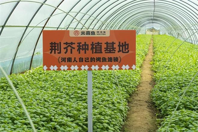 ”为媒用美食讲述中原大地的责任与温度尊龙人生就是博米喜鱼烤活鱼：以“荆芥(图5)